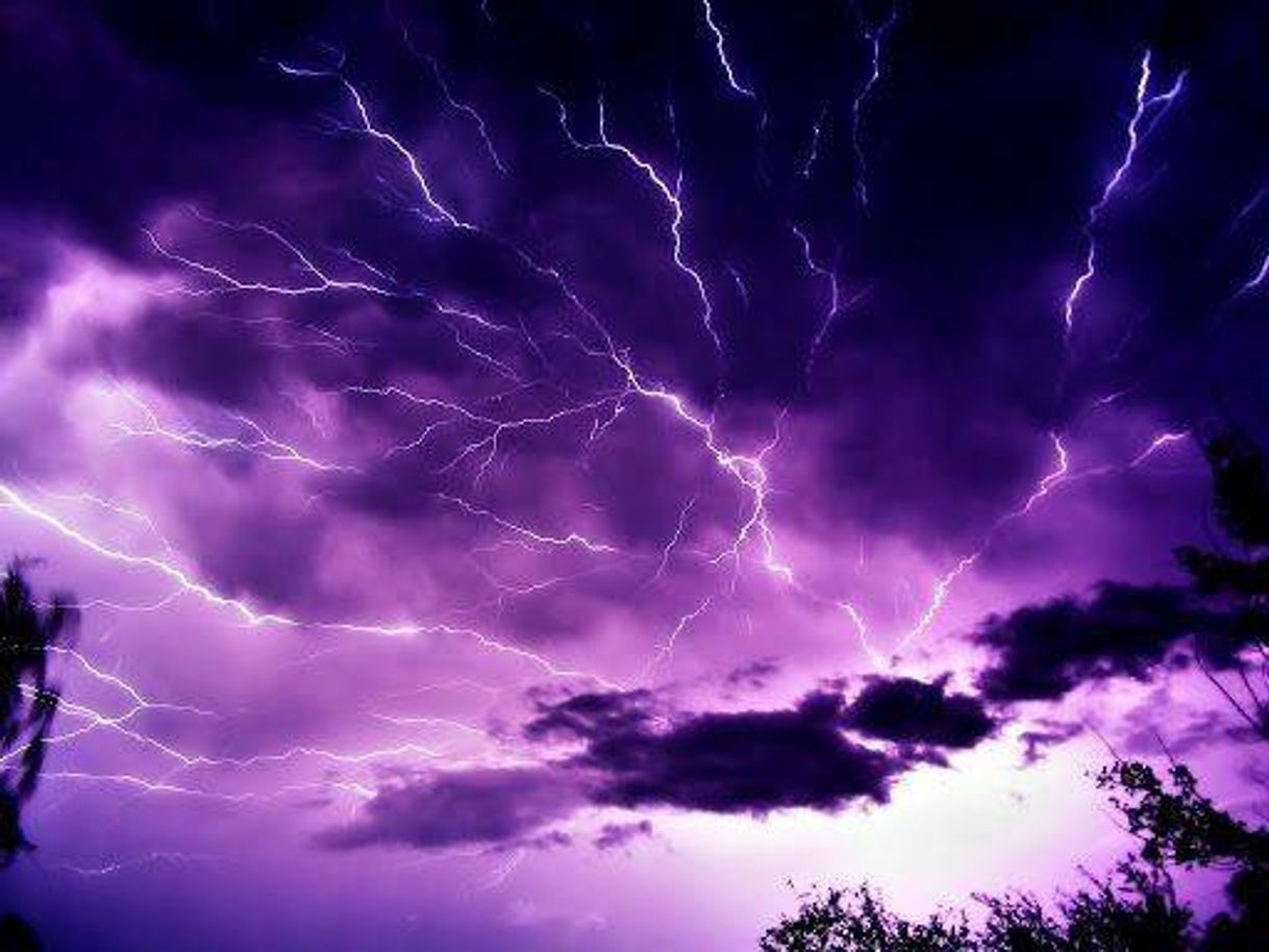 Social THUNDER