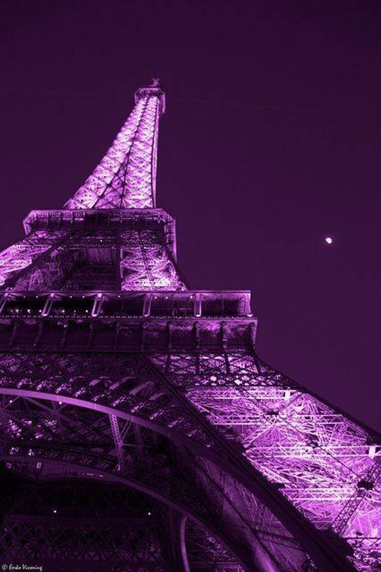 Social EIFFEL