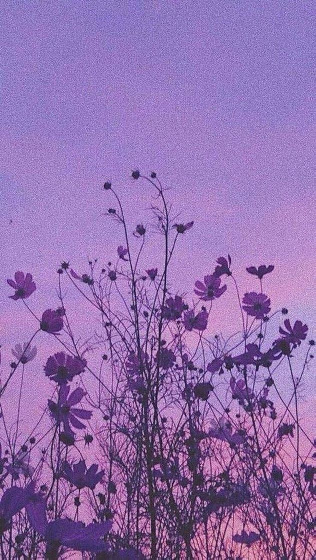 Social FLOWERS