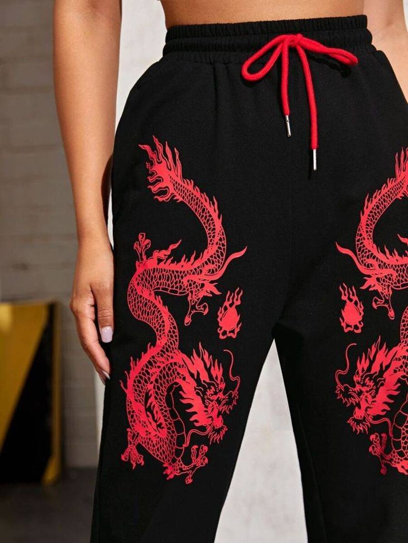 Social DRAGON