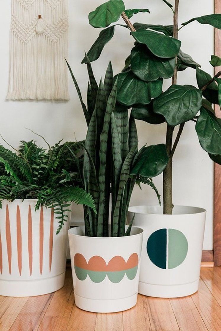 Moda Decor | plantas. 