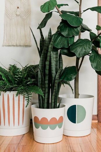 Decor | plantas. 