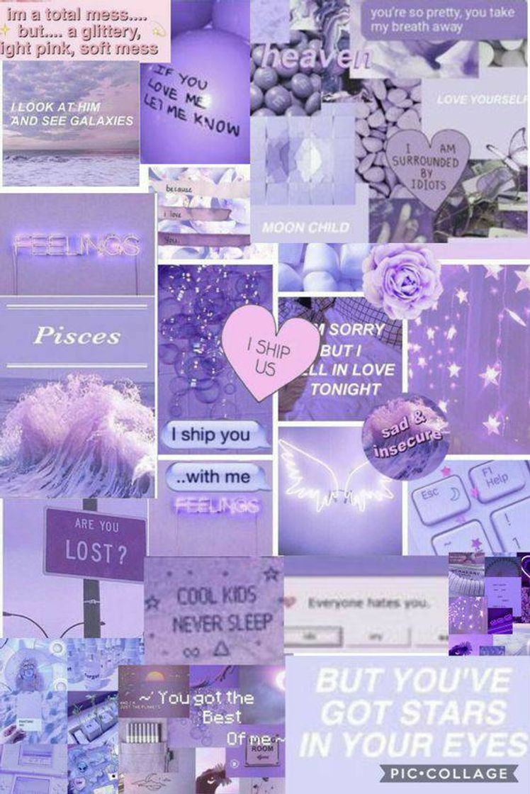 Moda Wallpaper roxo 