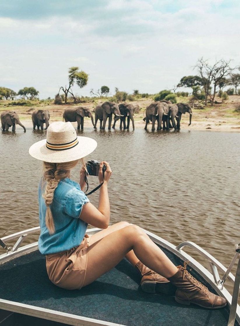 Moda Safari 🇿🇦 