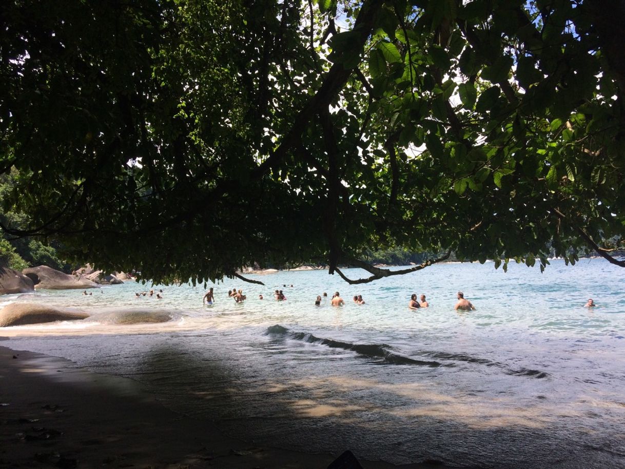 Lugar Praia do Casarão