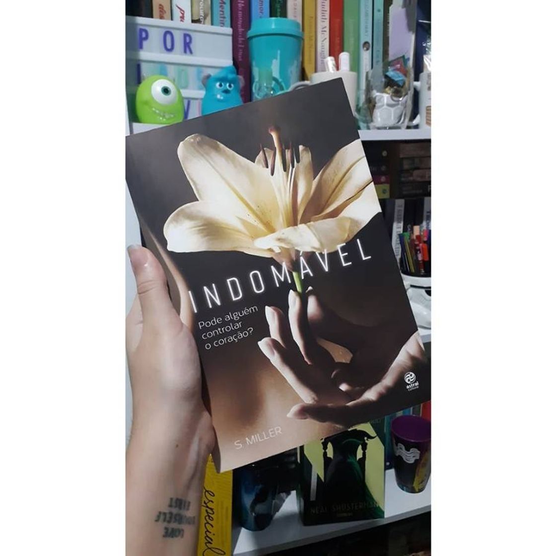 Moda Livro Indomável 