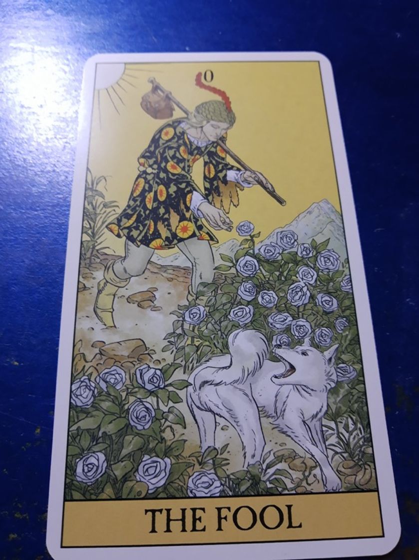 Fashion tarot virgem