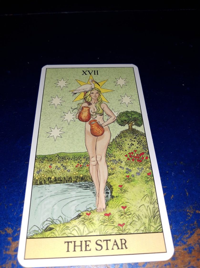 Fashion tarot touro 