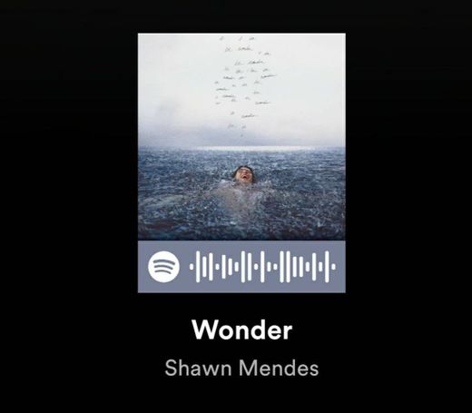 Worder - Shawn Mendes 