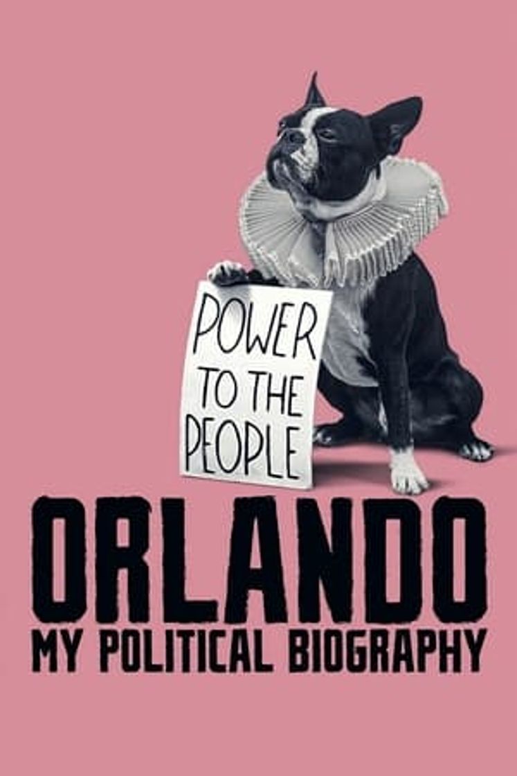 Película Orlando, mi biografía política