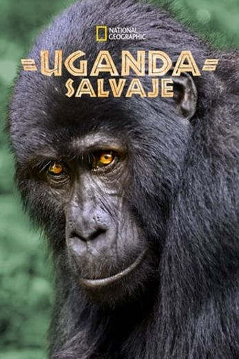 Wild Uganda