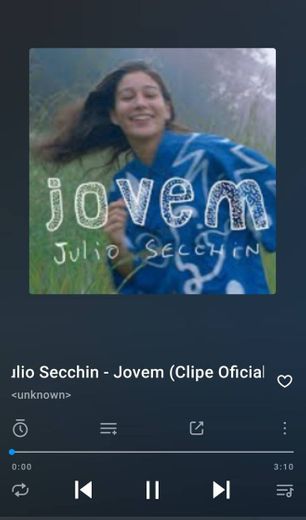 Jovem-Julio Secchin