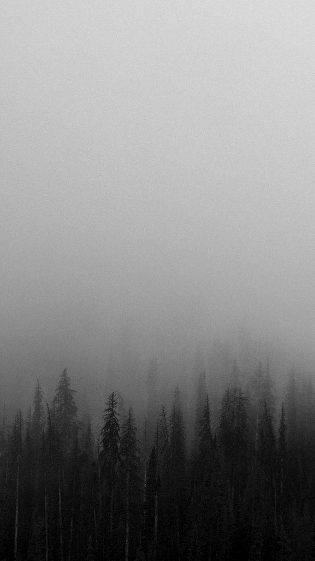 Social 🌫🌫