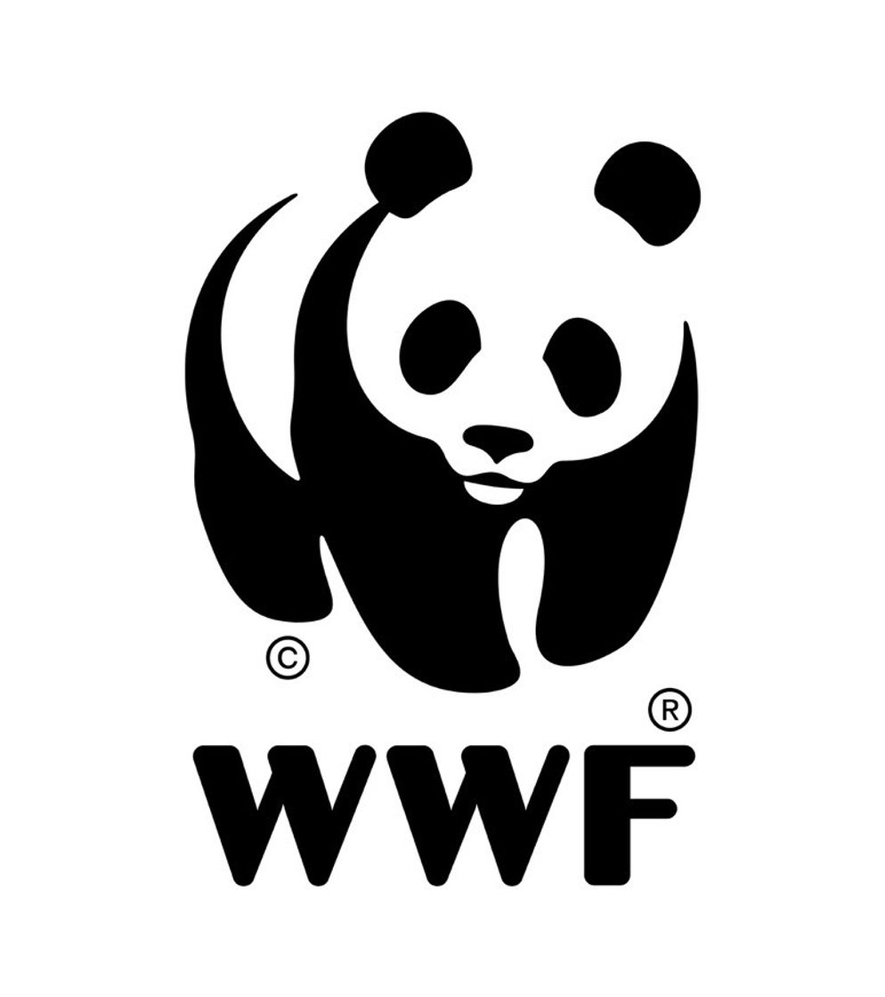 Fashion WWF