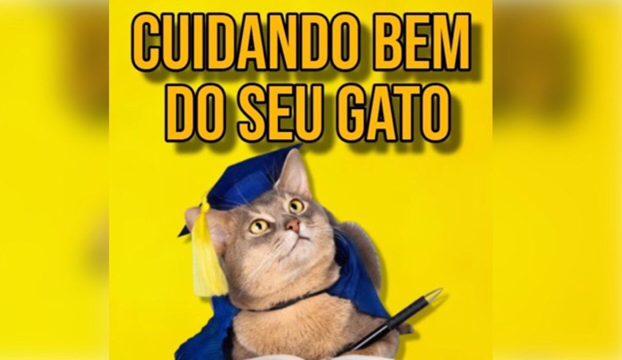 Moda Cuide melhor do gatinho 