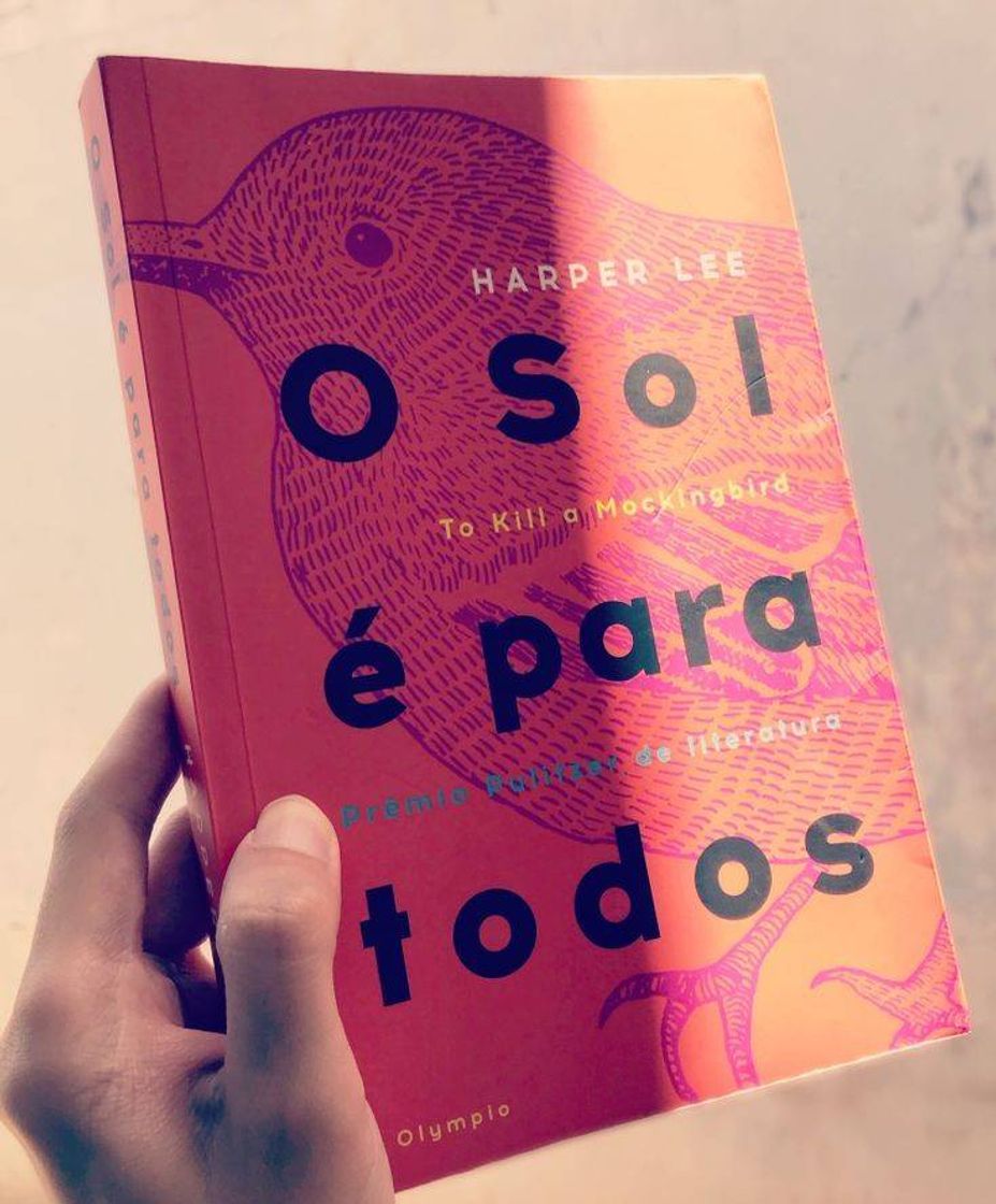 Moda O sol e para Todos 🧡