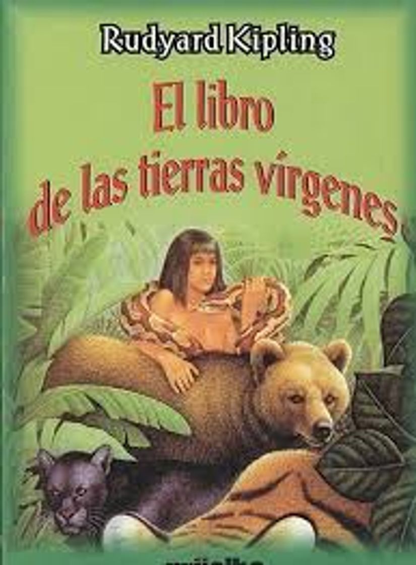 Book El libro de las tierras virgenes

