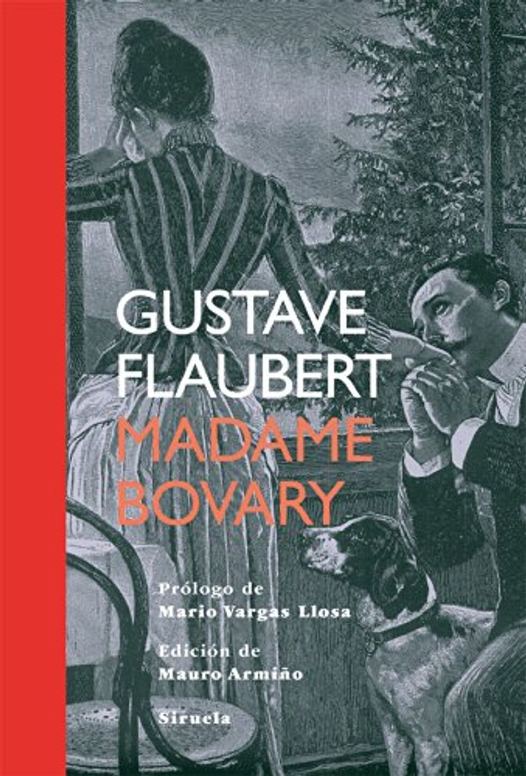 Libro Madame Bovary