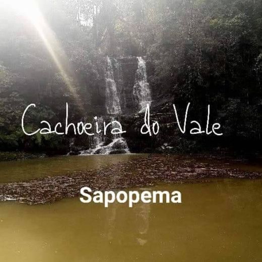 Sapopema