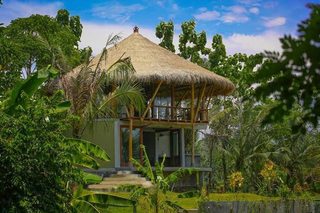 Place balian tree house