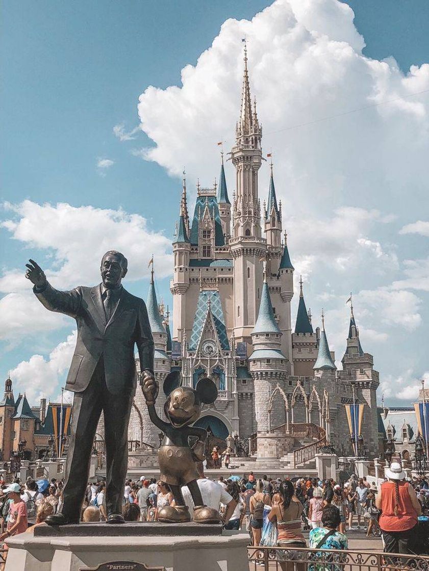 Social Walt Disney World, Florida