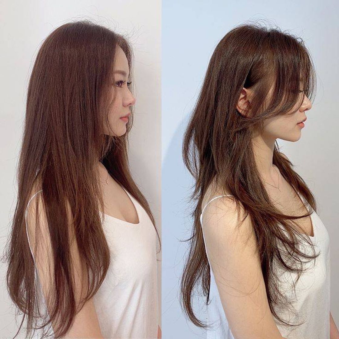 Social Hair