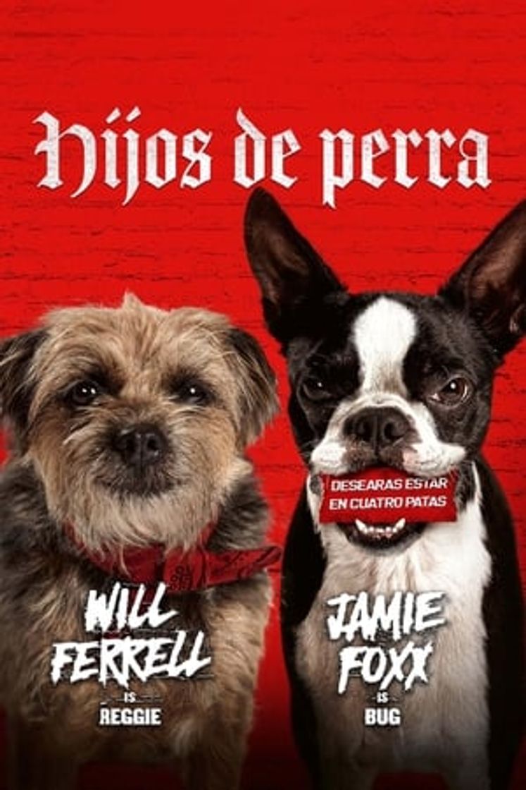 Movie Vida perra