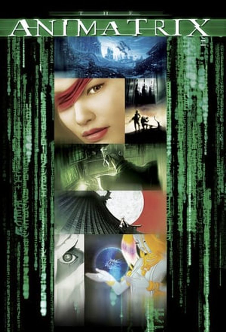 Serie The Animatrix