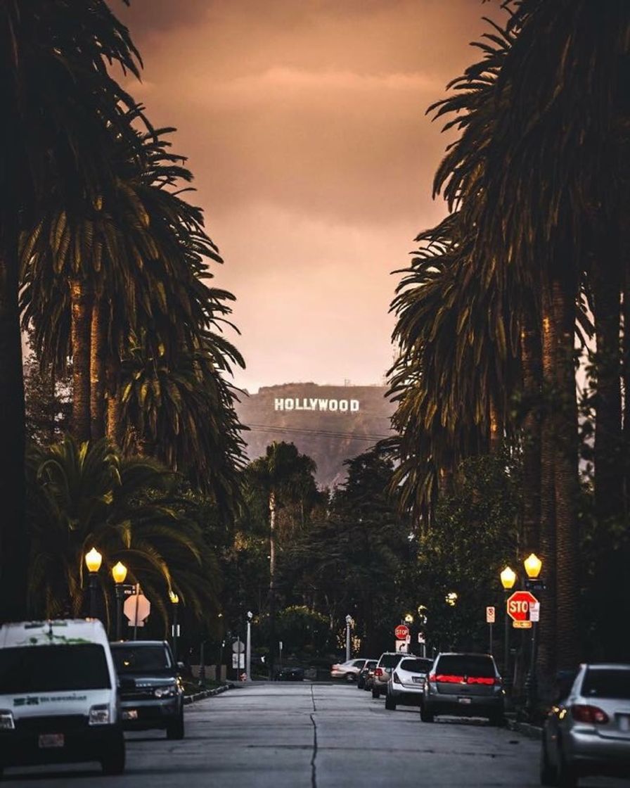 Social Placa de Hollywood