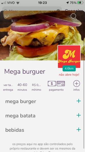 Mega Burguer