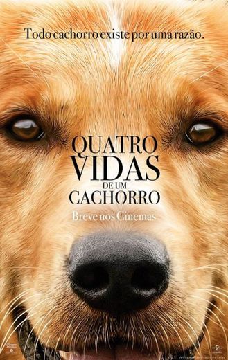 Quatro Vidas de um Cachorro - Filme 2017