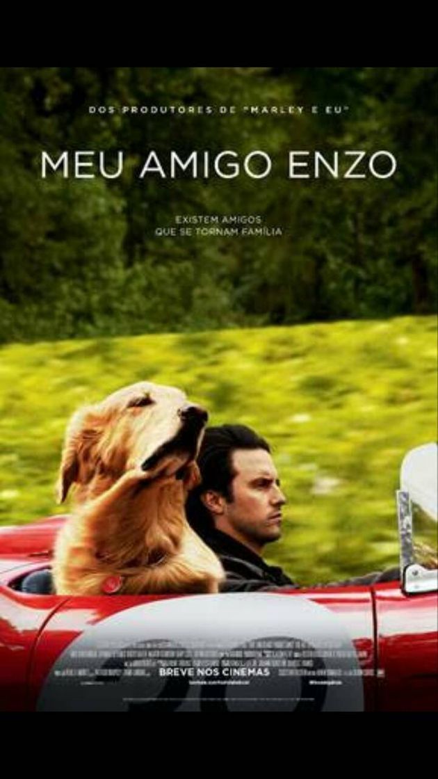 Movie Meu Amigo Enzo