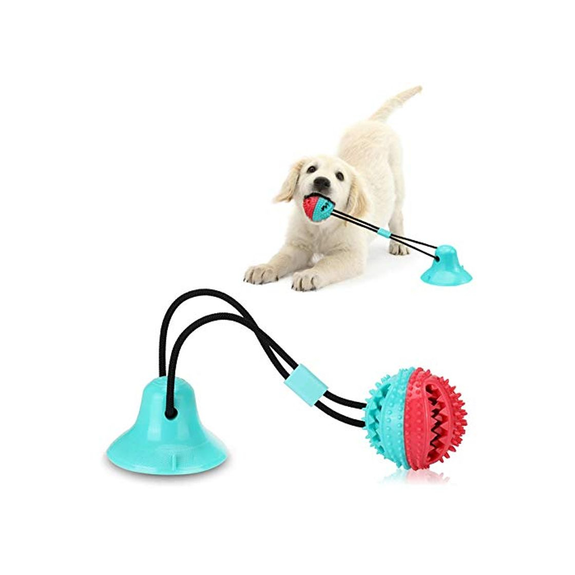 Social BEANKI Juguete Molar para Mascotas