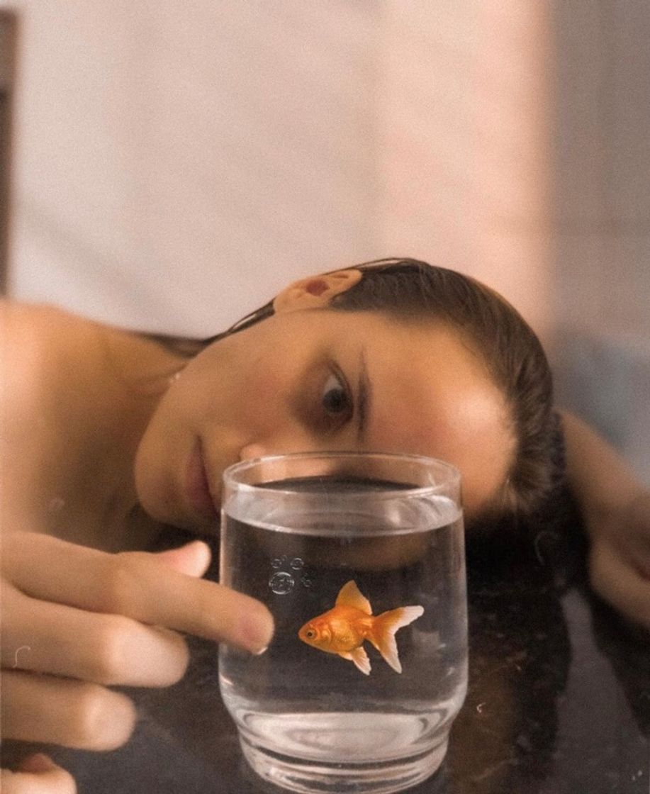 Social Edição foto com peixinho 