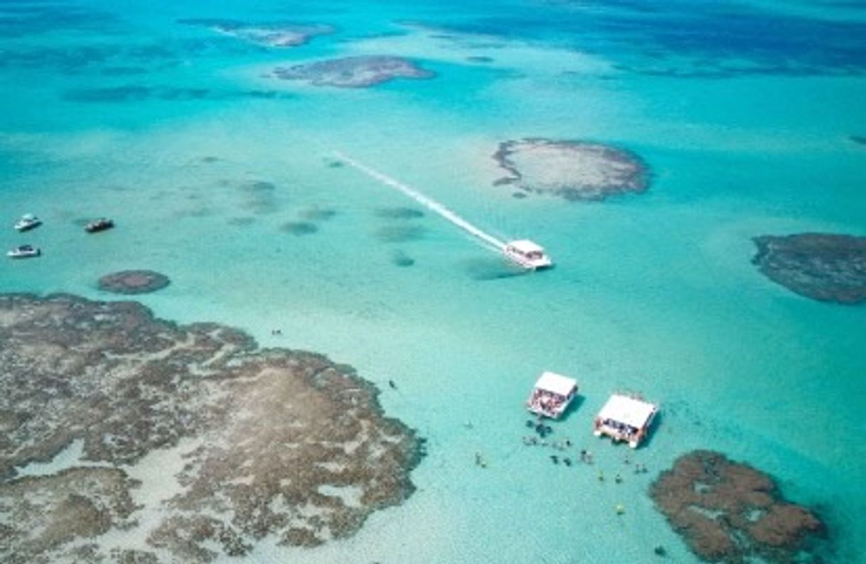 Lugar Maragogi - Praias - Maceió/Alagoas 