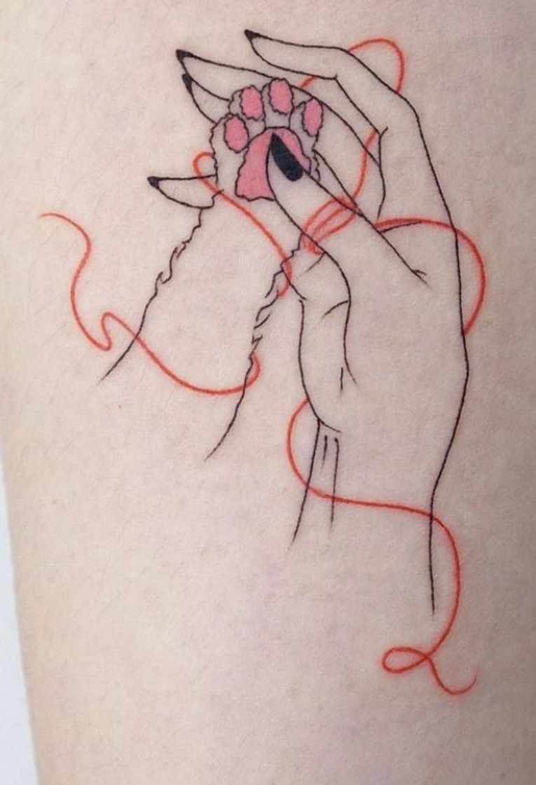 Social Tatto Pet - Akaito