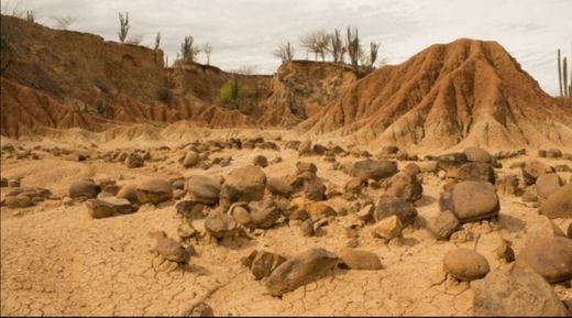 Desierto de la Tatacoa