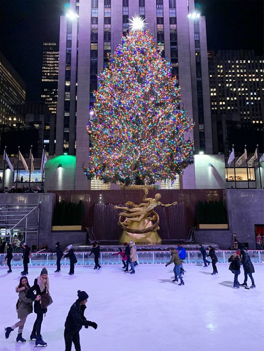 Lugar Inverno em NY 🗽❄☃️❤