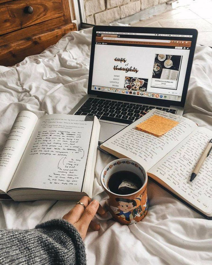 📖🌼