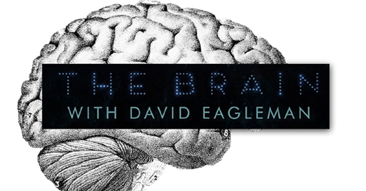 Serie El cerebro con David Eagleman