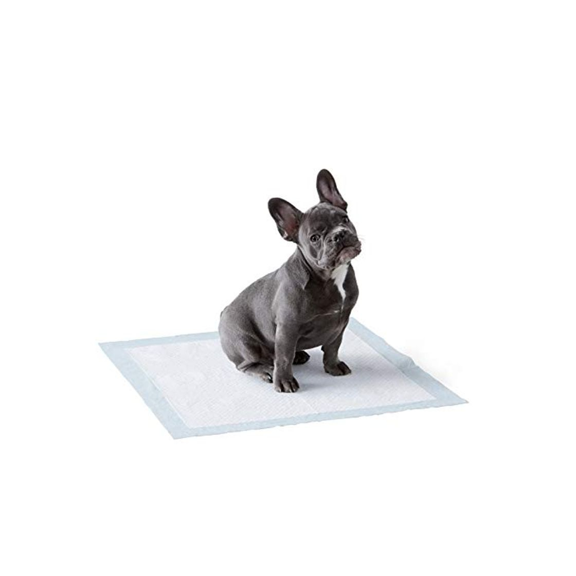 Product AmazonBasics - Toallitas de entrenamiento para mascotas