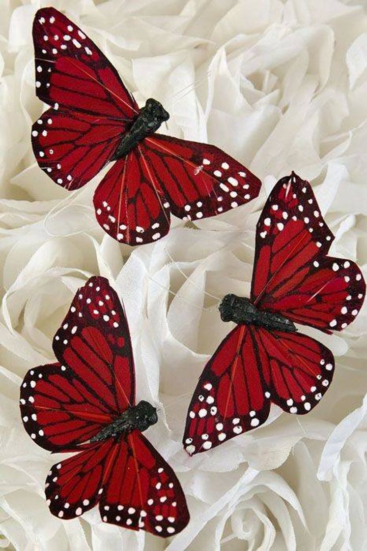 Moda BUTTERFLY 🦋❤️