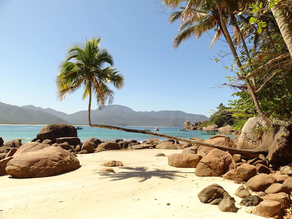 Lugar Praia de Lopes Mendes - Ilha Grande RJ