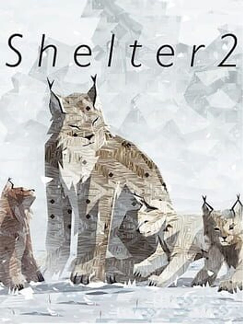 Videogames Shelter 2