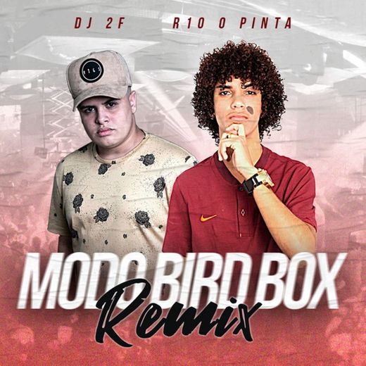Modo Bird Box - Remix