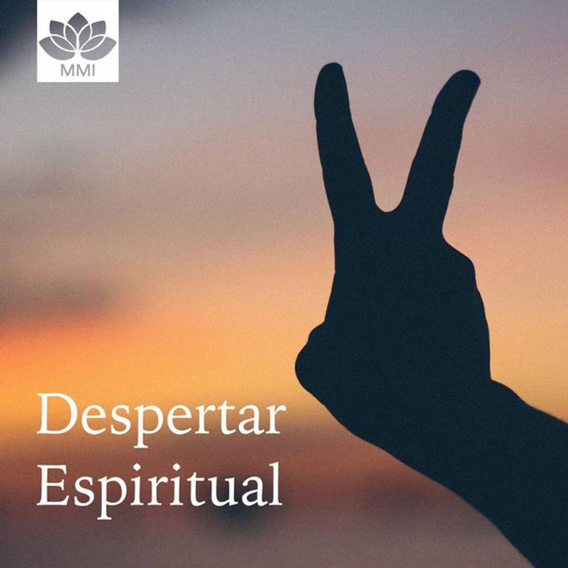 Social Tem gente que só gosta de ser seguido e não adiciona ninguém