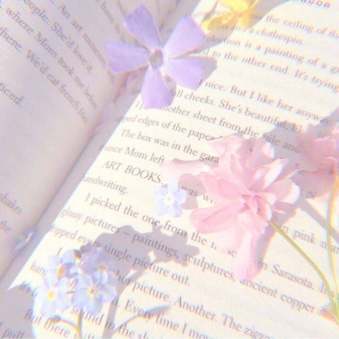 Social Wallpaper ✨