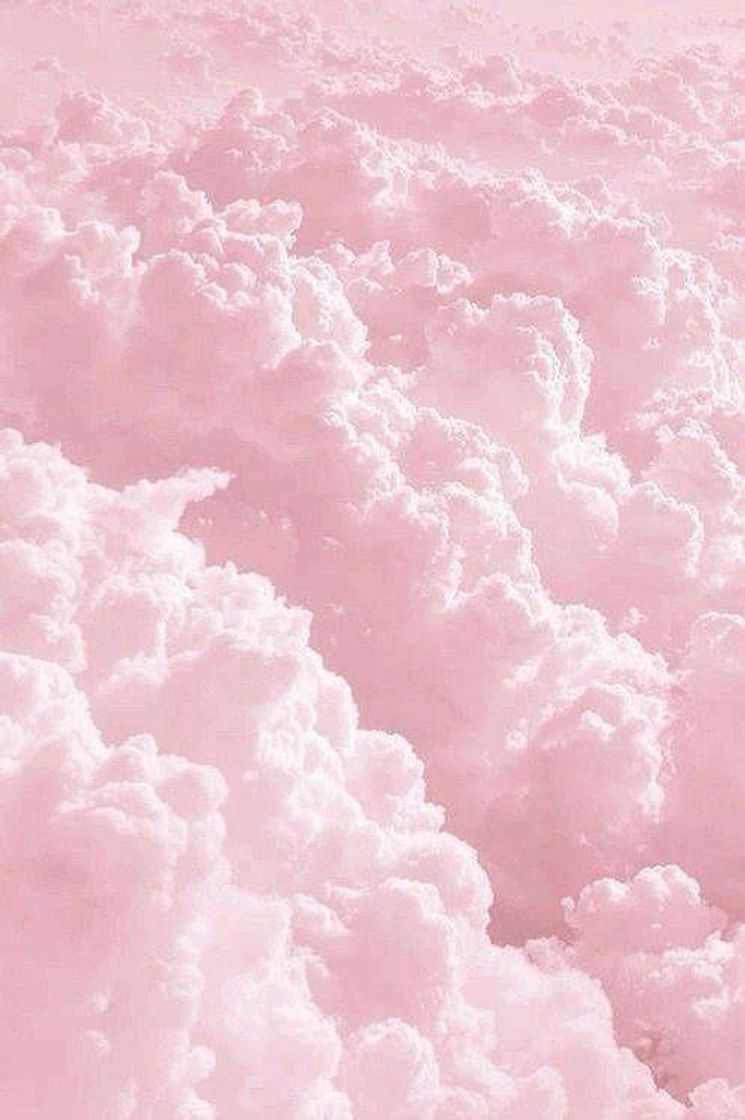 Social Wallpaper ✨