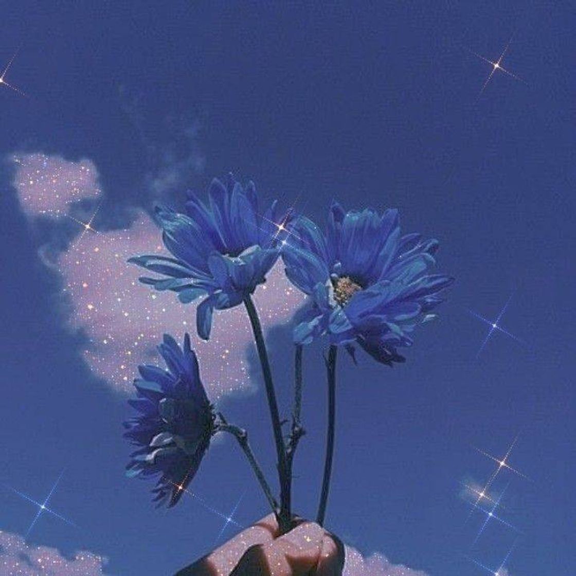 Social Wallpaper ✨