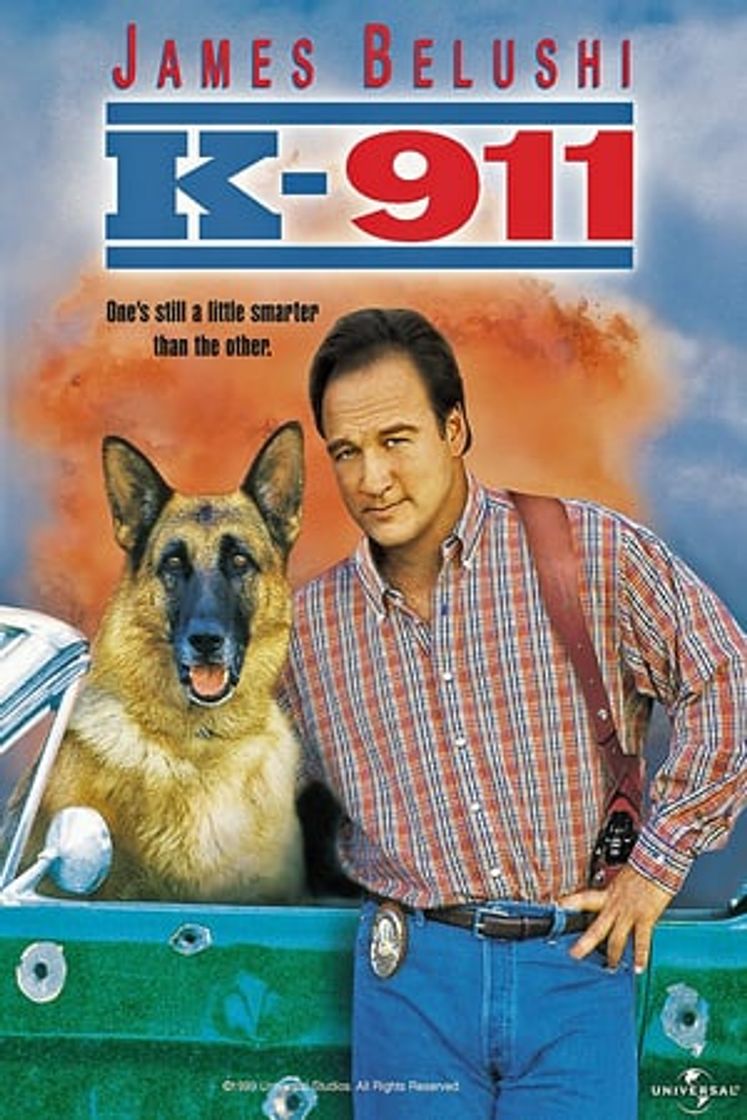 Película Superagente K-911